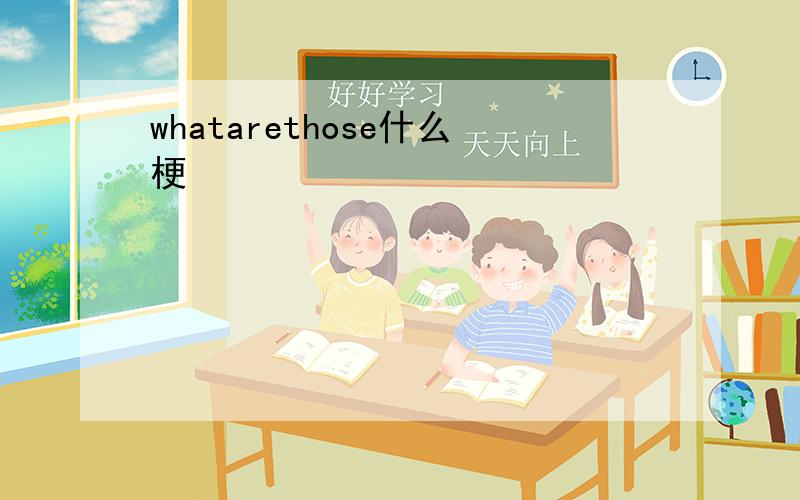 whatarethose什么梗