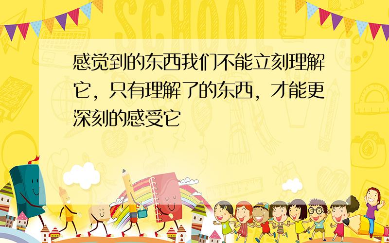 感觉到的东西我们不能立刻理解它，只有理解了的东西，才能更深刻的感受它