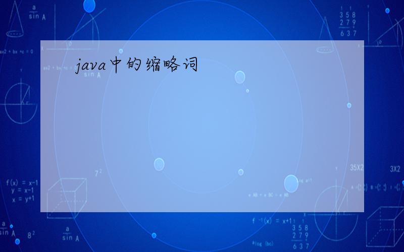 java中的缩略词