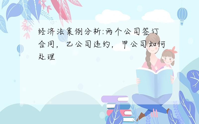 经济法案例分析:两个公司签订合同，乙公司违约，甲公司如何处理