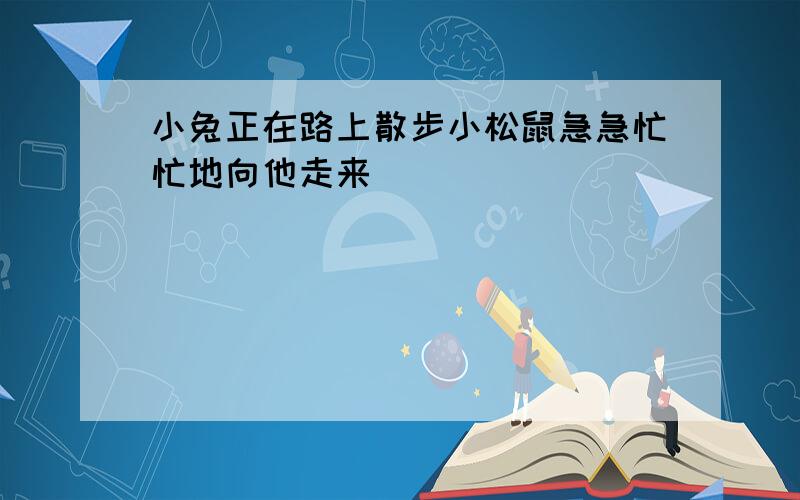 小兔正在路上散步小松鼠急急忙忙地向他走来