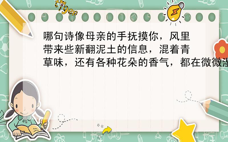 哪句诗像母亲的手抚摸你，风里带来些新翻泥土的信息，混着青草味，还有各种花朵的香气，都在微微湿润的空气