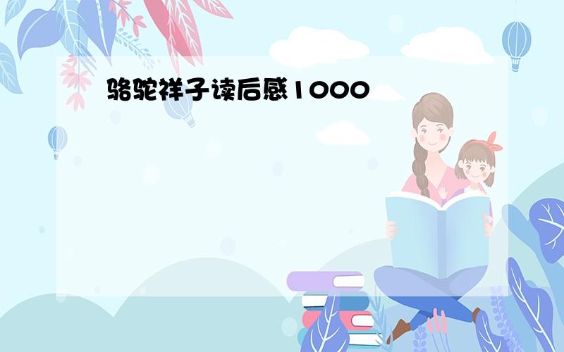 骆驼祥子读后感1000