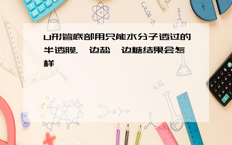 U形管底部用只能水分子透过的半透膜，一边盐一边糖结果会怎样