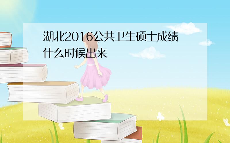 湖北2016公共卫生硕士成绩什么时候出来