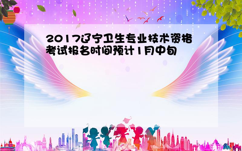 2017辽宁卫生专业技术资格考试报名时间预计1月中旬