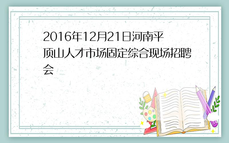 2016年12月21日河南平顶山人才市场固定综合现场招聘会