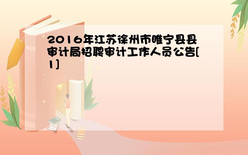 2016年江苏徐州市睢宁县县审计局招聘审计工作人员公告[1]