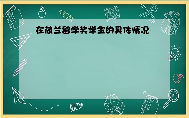 在荷兰留学奖学金的具体情况