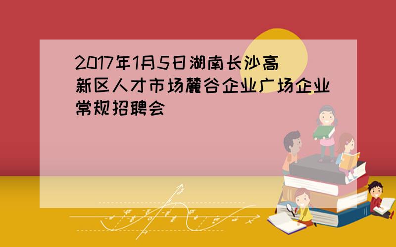 2017年1月5日湖南长沙高新区人才市场麓谷企业广场企业常规招聘会