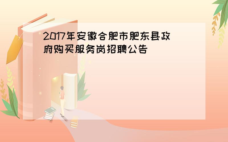 2017年安徽合肥市肥东县政府购买服务岗招聘公告