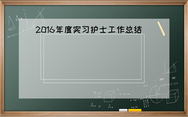 2016年度实习护士工作总结