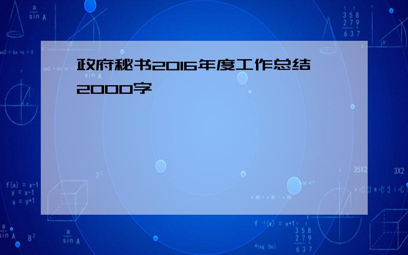 政府秘书2016年度工作总结2000字