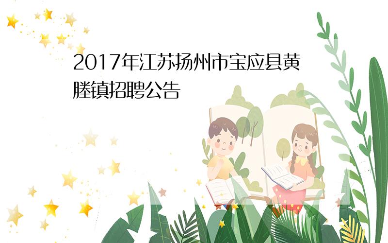 2017年江苏扬州市宝应县黄塍镇招聘公告