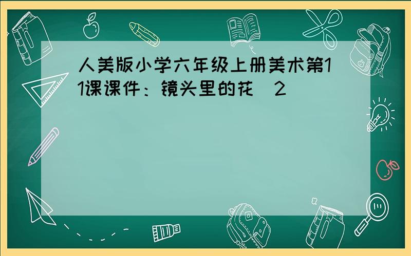 人美版小学六年级上册美术第11课课件：镜头里的花（2）