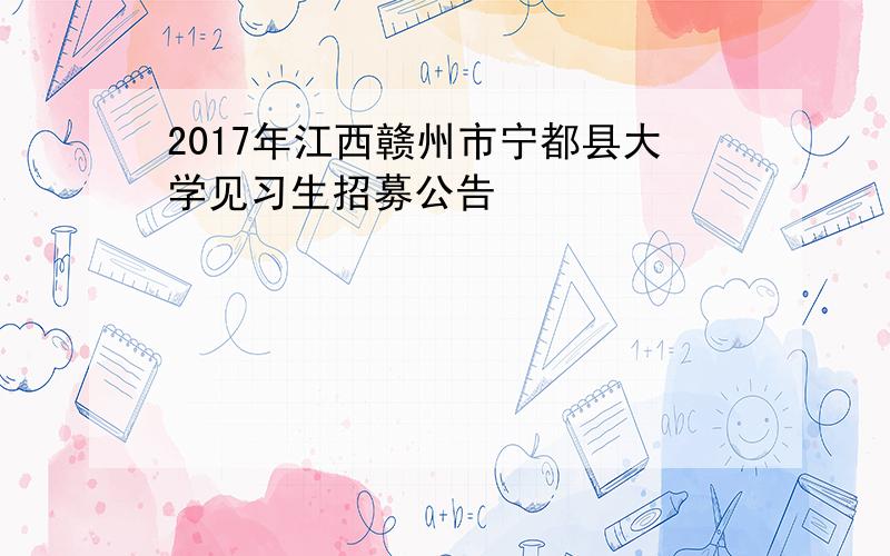 2017年江西赣州市宁都县大学见习生招募公告