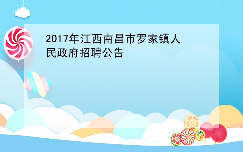 2017年江西南昌市罗家镇人民政府招聘公告