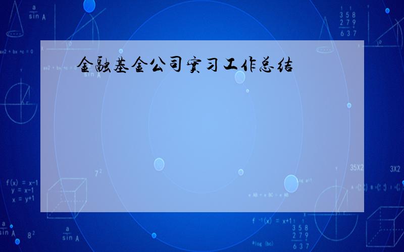 金融基金公司实习工作总结