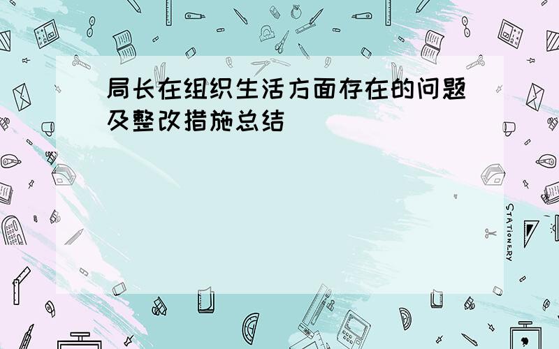 局长在组织生活方面存在的问题及整改措施总结