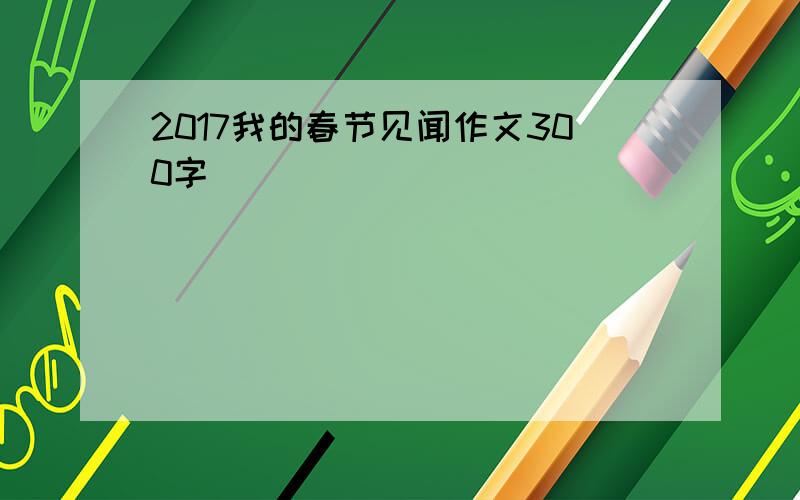 2017我的春节见闻作文300字