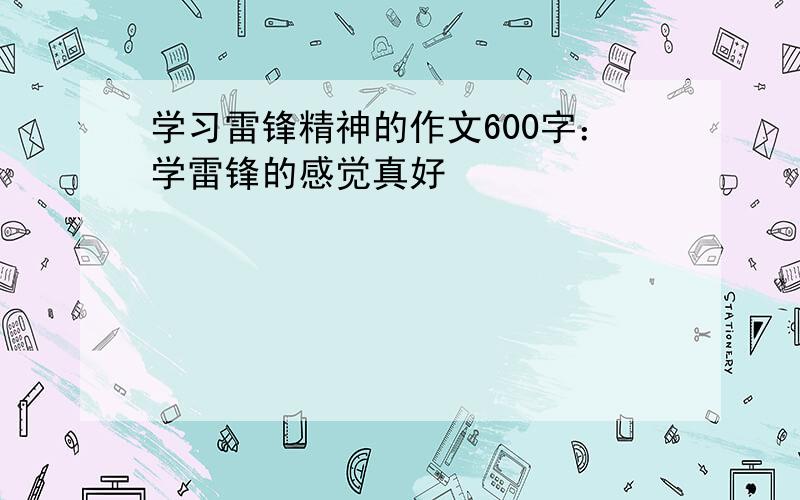 学习雷锋精神的作文600字：学雷锋的感觉真好