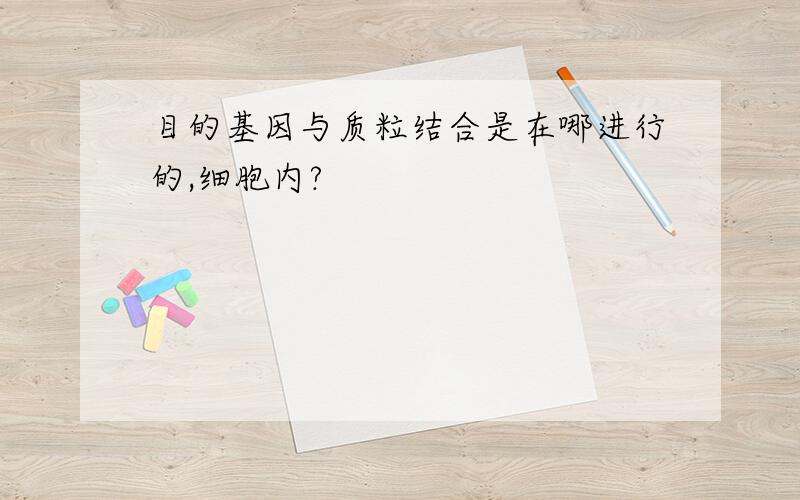 目的基因与质粒结合是在哪进行的,细胞内?