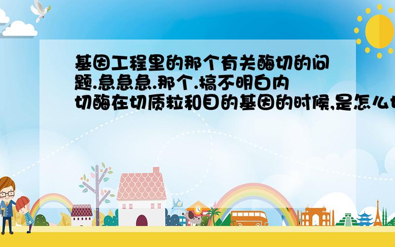 基因工程里的那个有关酶切的问题.急急急.那个.搞不明白内切酶在切质粒和目的基因的时候,是怎么切的啊.还有那种分析切割的题目.比如给你GAATTC这样的东西,然后为你怎么切.这种题目怎么