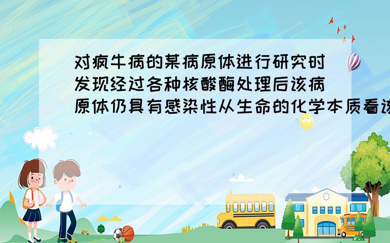 对疯牛病的某病原体进行研究时发现经过各种核酸酶处理后该病原体仍具有感染性从生命的化学本质看该病原体A. 不含核酸,但可能含蛋白质B. 不含蛋白质,但肯定含核酸C. 不含核酸和蛋白质D.