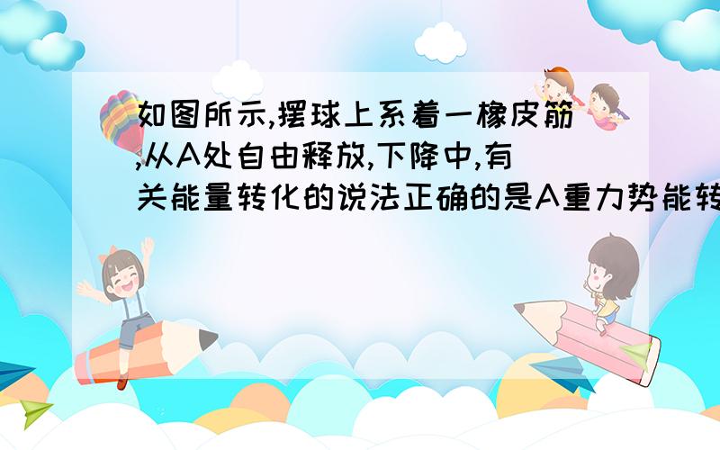 如图所示,摆球上系着一橡皮筋,从A处自由释放,下降中,有关能量转化的说法正确的是A重力势能转化为动能B重力势能转化为弹性势能C重力势能转化为动能和弹性势能D重力势能和动能转化为弹