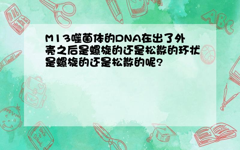 M13噬菌体的DNA在出了外壳之后是螺旋的还是松散的环状是螺旋的还是松散的呢?