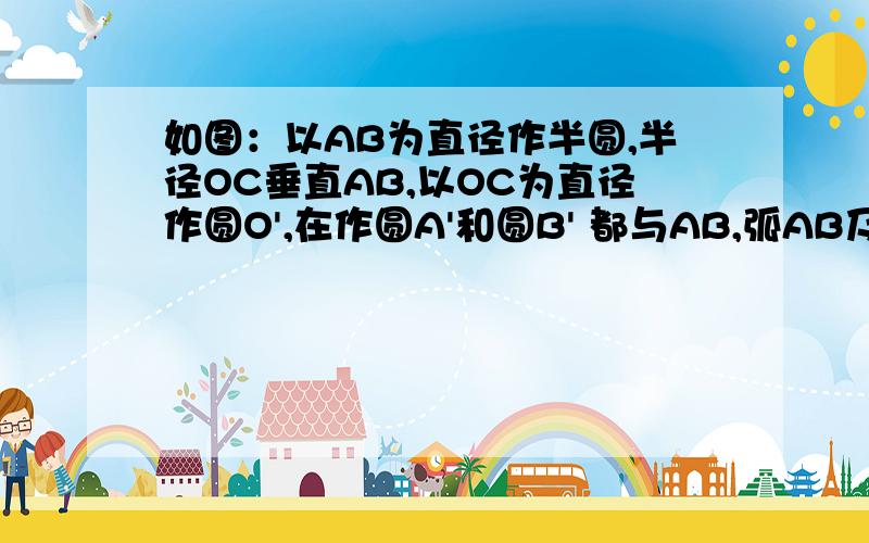 如图：以AB为直径作半圆,半径OC垂直AB,以OC为直径作圆O',在作圆A'和圆B' 都与AB,弧AB及圆O' 相切,如果AB=2R,求圆A' 的半径.画图!