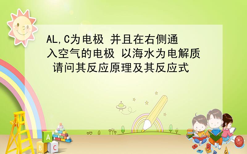 AL,C为电极 并且在右侧通入空气的电极 以海水为电解质 请问其反应原理及其反应式