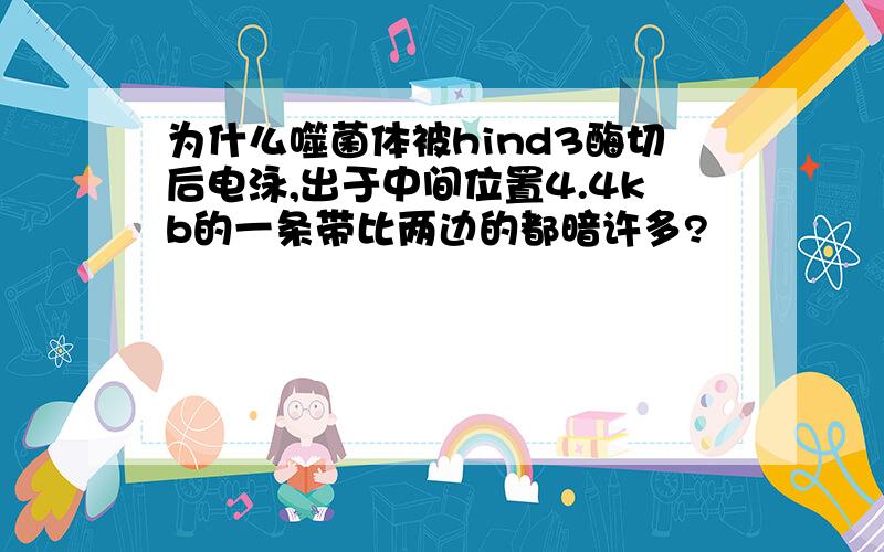 为什么噬菌体被hind3酶切后电泳,出于中间位置4.4kb的一条带比两边的都暗许多?