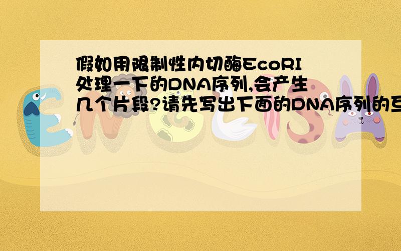 假如用限制性内切酶EcoRI处理一下的DNA序列,会产生几个片段?请先写出下面的DNA序列的互补链.假如用限制性内切酶EcoRI处理一下的DNA序列,会产生几个片段?请先写出下面的DNA序列的互补链,然后