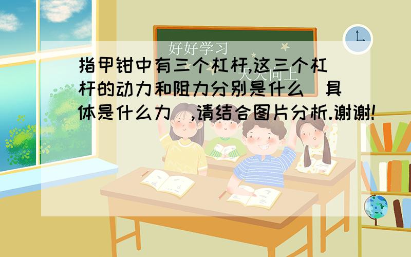 指甲钳中有三个杠杆,这三个杠杆的动力和阻力分别是什么（具体是什么力）,请结合图片分析.谢谢!