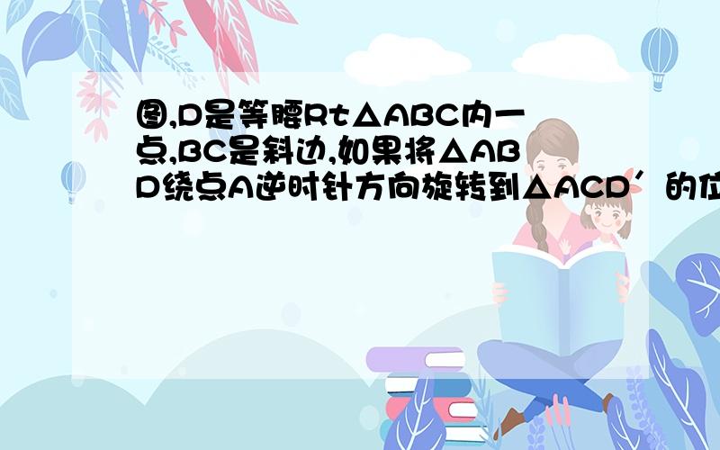 图,D是等腰Rt△ABC内一点,BC是斜边,如果将△ABD绕点A逆时针方向旋转到△ACD′的位置,则∠ADD′