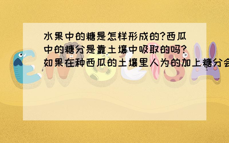 水果中的糖是怎样形成的?西瓜中的糖分是靠土壤中吸取的吗?如果在种西瓜的土壤里人为的加上糖分会被西瓜吸收吗？回答最好专业一点？