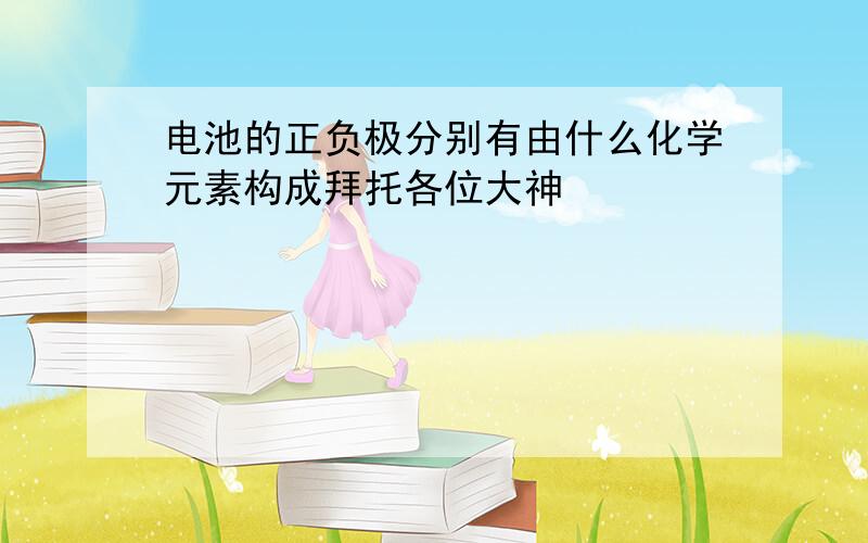 电池的正负极分别有由什么化学元素构成拜托各位大神