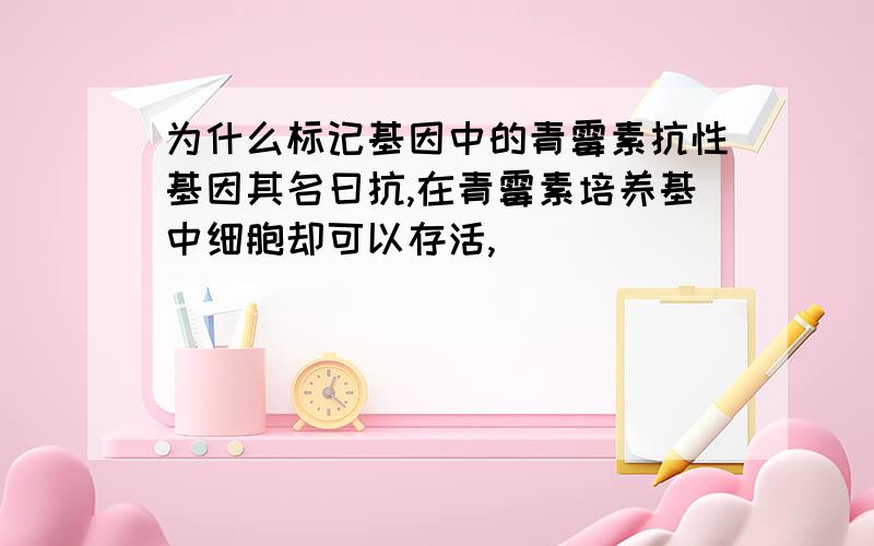 为什么标记基因中的青霉素抗性基因其名曰抗,在青霉素培养基中细胞却可以存活,