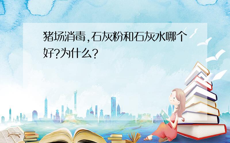 猪场消毒,石灰粉和石灰水哪个好?为什么?