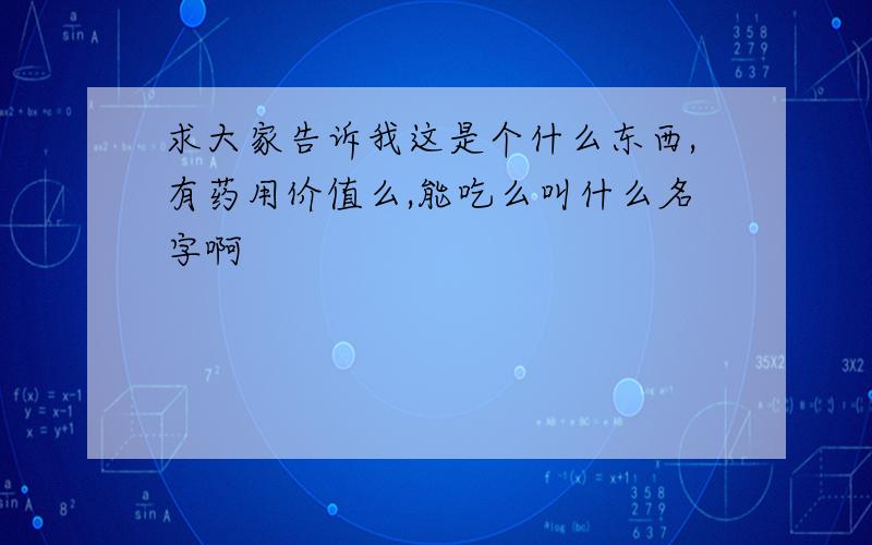 求大家告诉我这是个什么东西,有药用价值么,能吃么叫什么名字啊