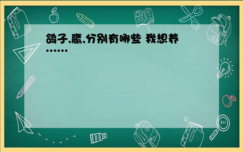 鸽子,鹰,分别有哪些 我想养……