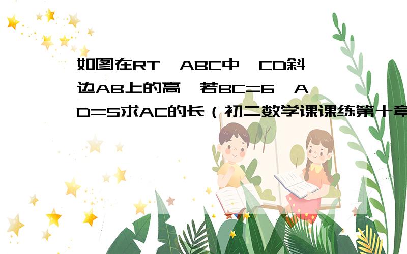 如图在RT△ABC中,CD斜边AB上的高,若BC=6,AD=5求AC的长（初二数学课课练第十章每周一练7）