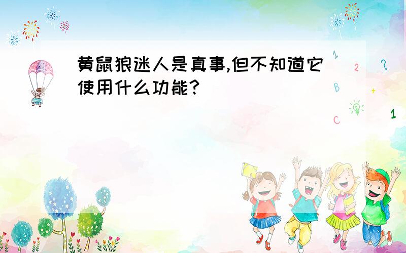 黄鼠狼迷人是真事,但不知道它使用什么功能?