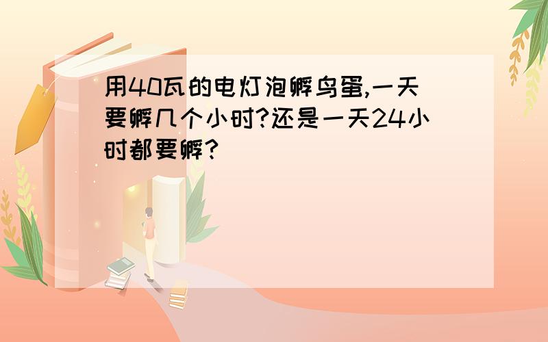 用40瓦的电灯泡孵鸟蛋,一天要孵几个小时?还是一天24小时都要孵?