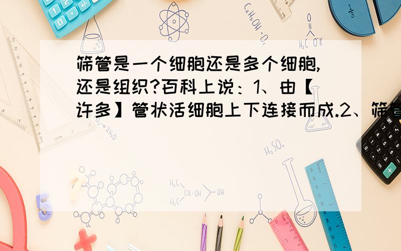 筛管是一个细胞还是多个细胞,还是组织?百科上说：1、由【许多】管状活细胞上下连接而成.2、筛管没有细胞核,但筛管是活细胞.（既然是很多细胞,怎么还称它为没有细胞核的活细胞?）报纸