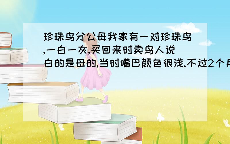 珍珠鸟分公母我家有一对珍珠鸟,一白一灰,买回来时卖鸟人说白的是母的,当时嘴巴颜色很浅.不过2个月后嘴巴颜色越来越红(还是没有灰鸟的颜色深),两只鸟叫声不一样,灰鸟叫的时候是短促的4