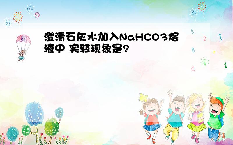 澄清石灰水加入NaHCO3熔液中 实验现象是?