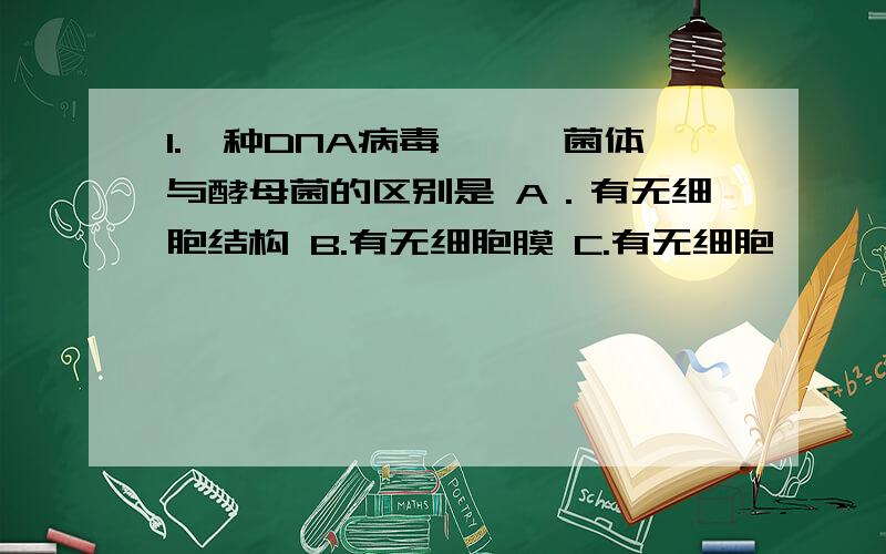 1.一种DNA病毒——噬菌体与酵母菌的区别是 A．有无细胞结构 B.有无细胞膜 C.有无细胞