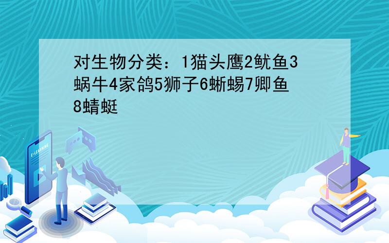 对生物分类：1猫头鹰2鱿鱼3蜗牛4家鸽5狮子6蜥蜴7卿鱼8蜻蜓